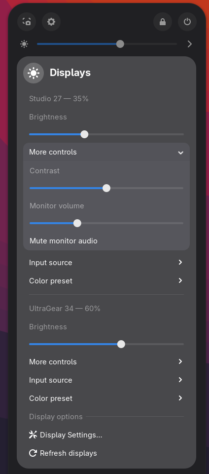 More controls geopend voor één monitor: regelaars voor contrast en monitorvolume en een schakelaar Mute monitor audio